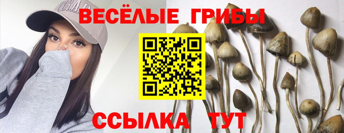 Псилоцибиновые грибы MAGIC MUSHROOMS  Вход с VPN  Видное  Галлюциногенные грибы прущие грибы 